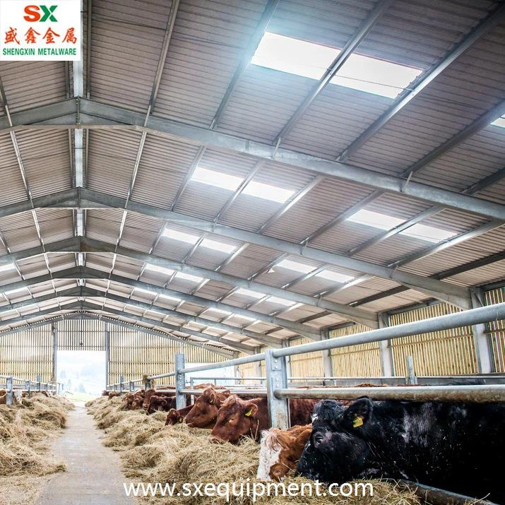 Beef Cattle Fence