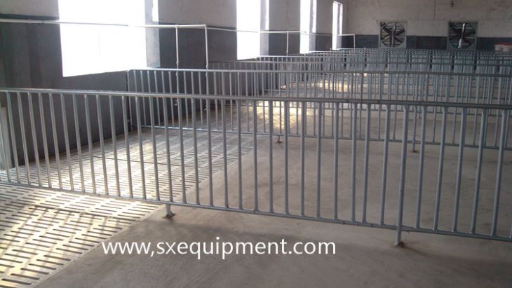 Pig Fattening Crate
